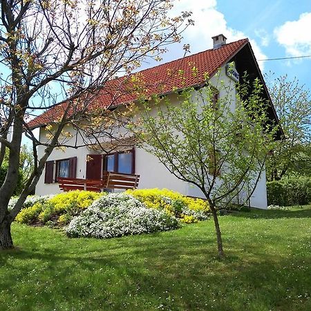 Guest House Kolic Dreznik Grad Luaran gambar