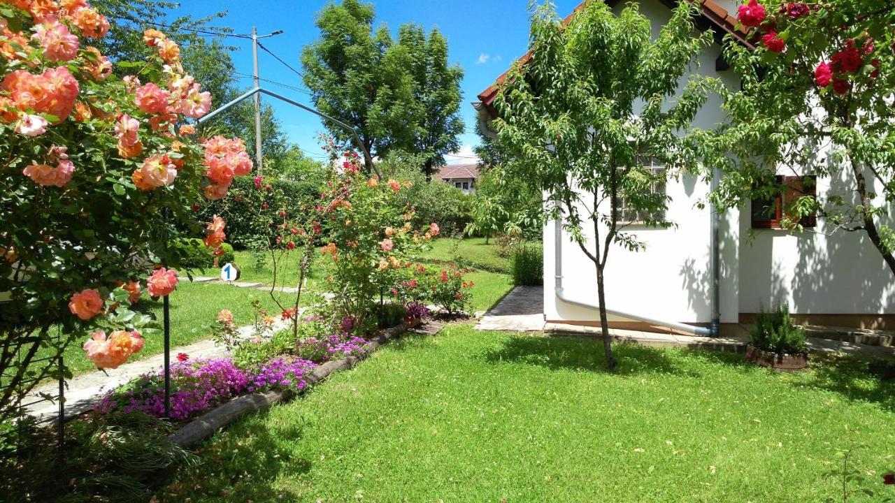 Guest House Kolic Dreznik Grad Luaran gambar