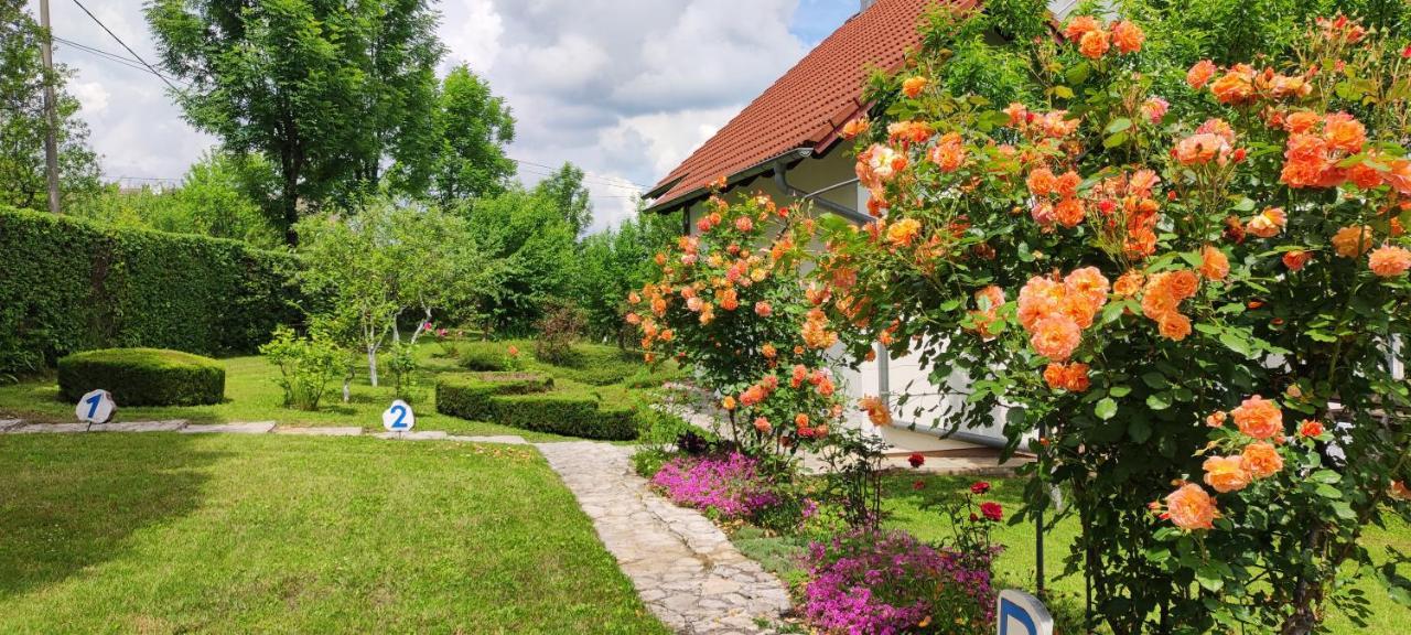 Guest House Kolic Dreznik Grad Luaran gambar