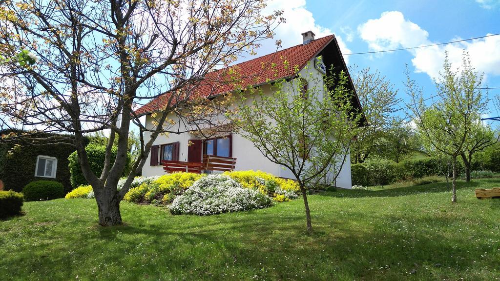 Guest House Kolic Dreznik Grad Luaran gambar